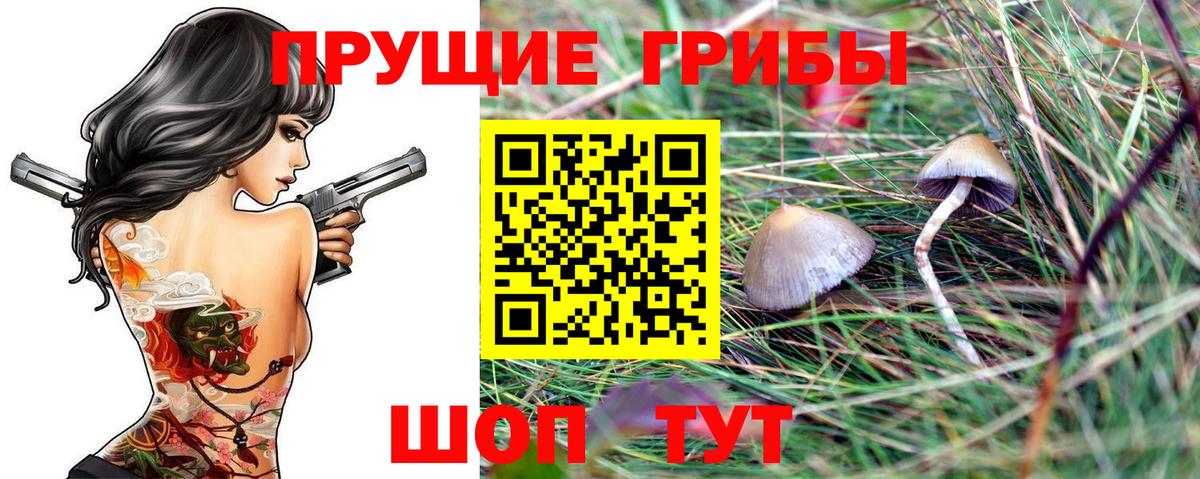 Галлюциногенные грибы MAGIC MUSHROOMS Комсомольск-на-Амуре