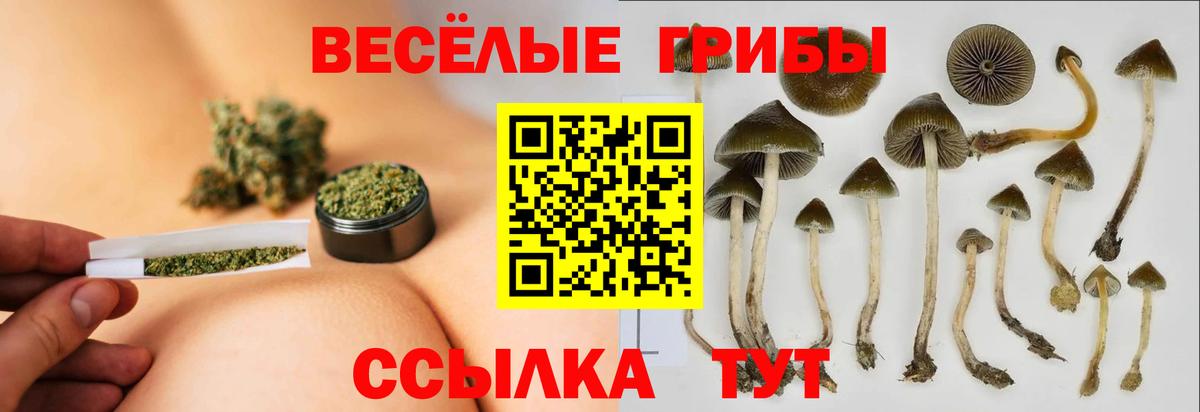 Галлюциногенные грибы MAGIC MUSHROOMS  Вход с VPN  Галлюциногенные грибы ЛСД  Комсомольск-на-Амуре 